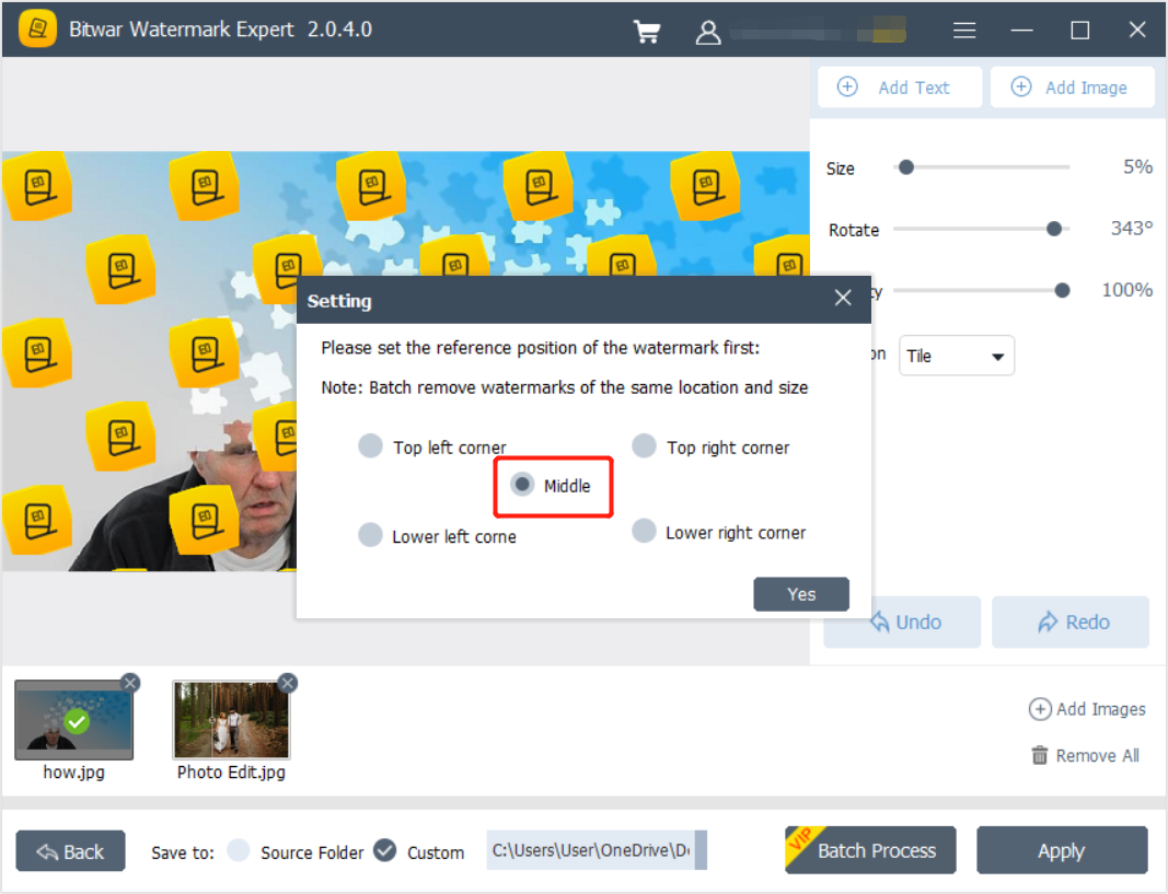 Batch Image Watermark Photo location
