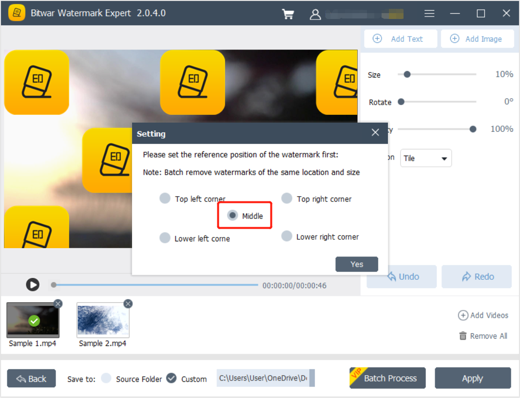 Batch Video Image Watermark Location