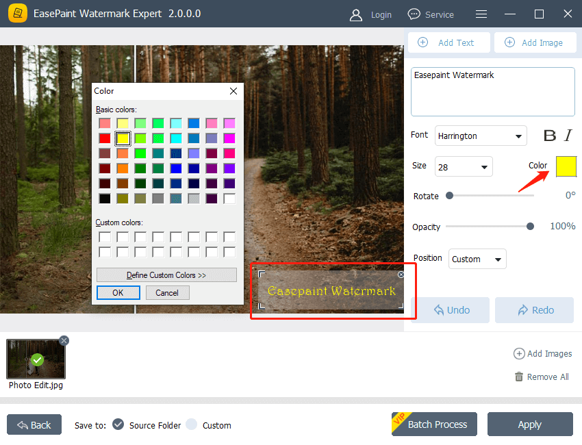 How to Add Text Watermark to Photo? EasePaint Watermark Expert
